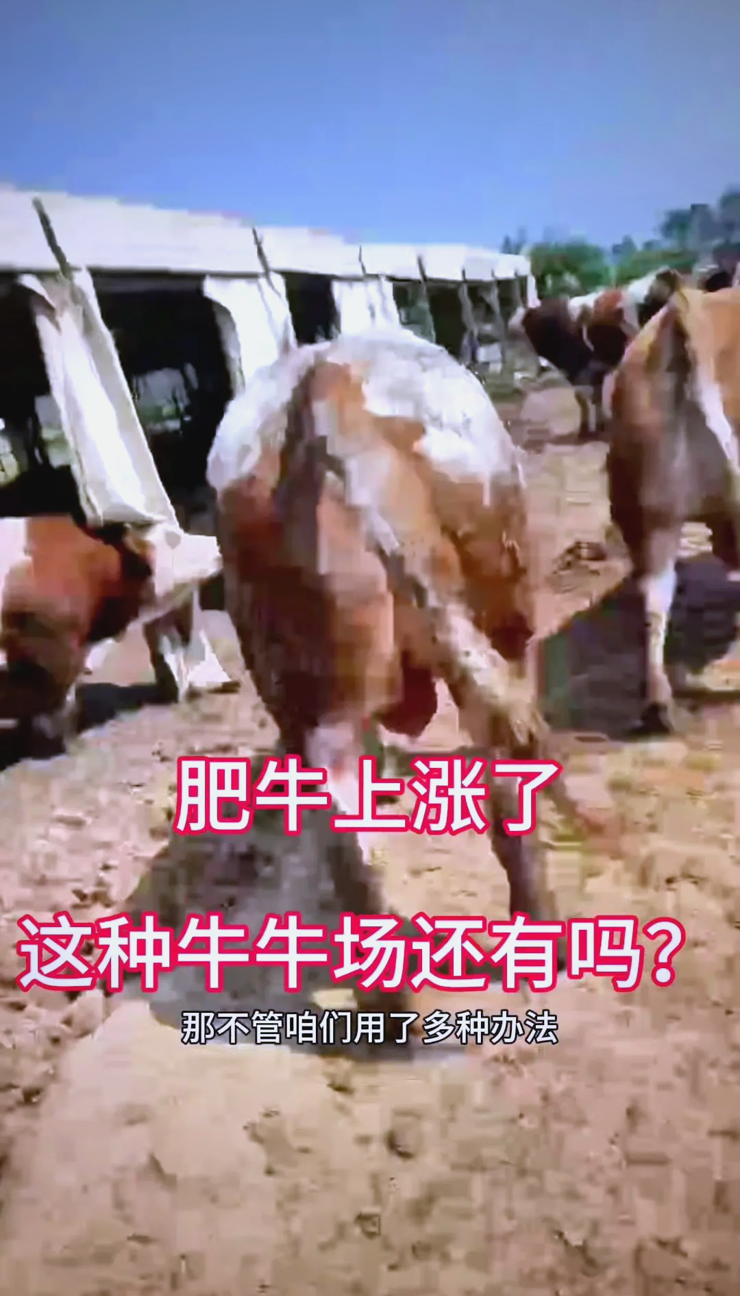 凯发娱乐天生赢家-公牛再次溃败，团队合作亟待加强！