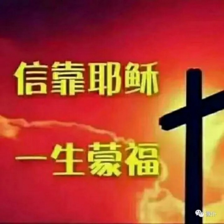 贝罗天生四进五出，暴走引来停步耶稣