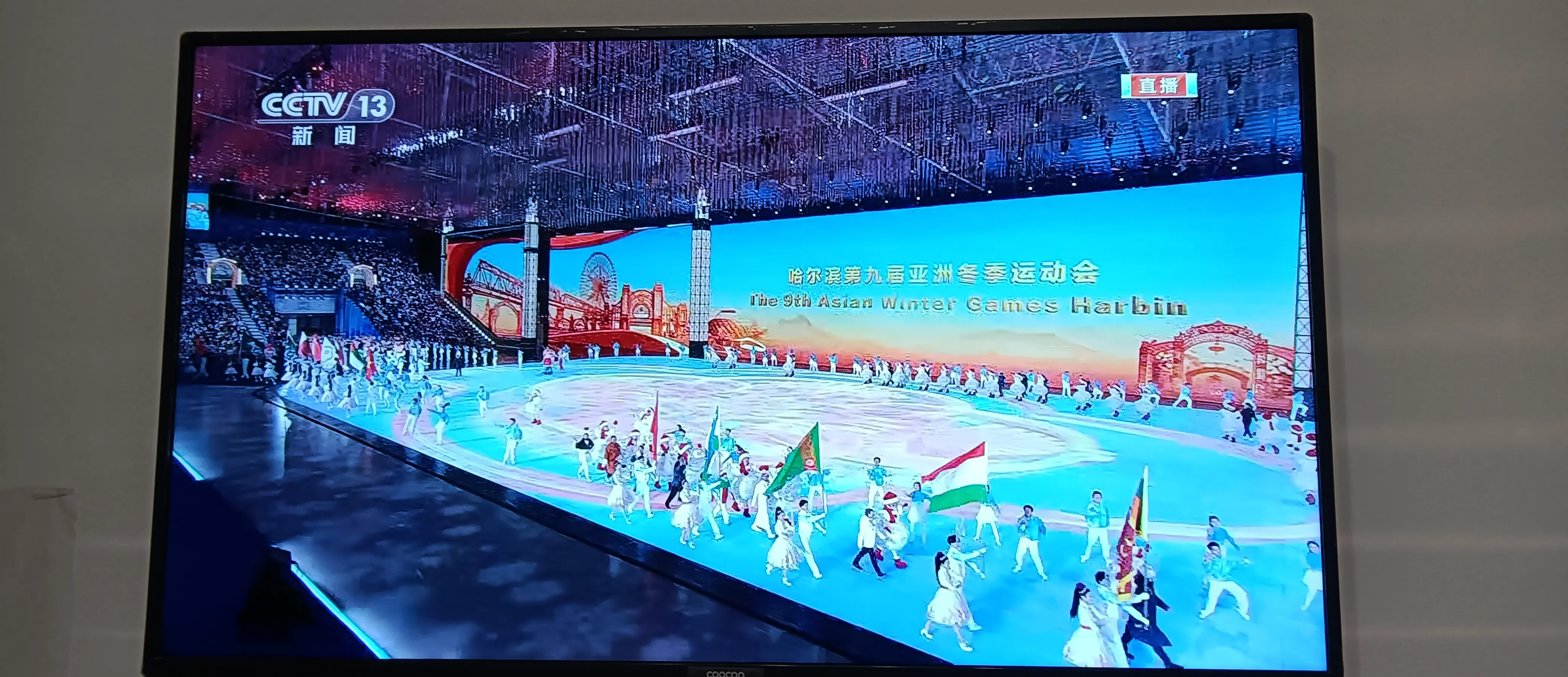 精彩瞬间震撼人心，热血对抗让人热血沸腾的简单介绍