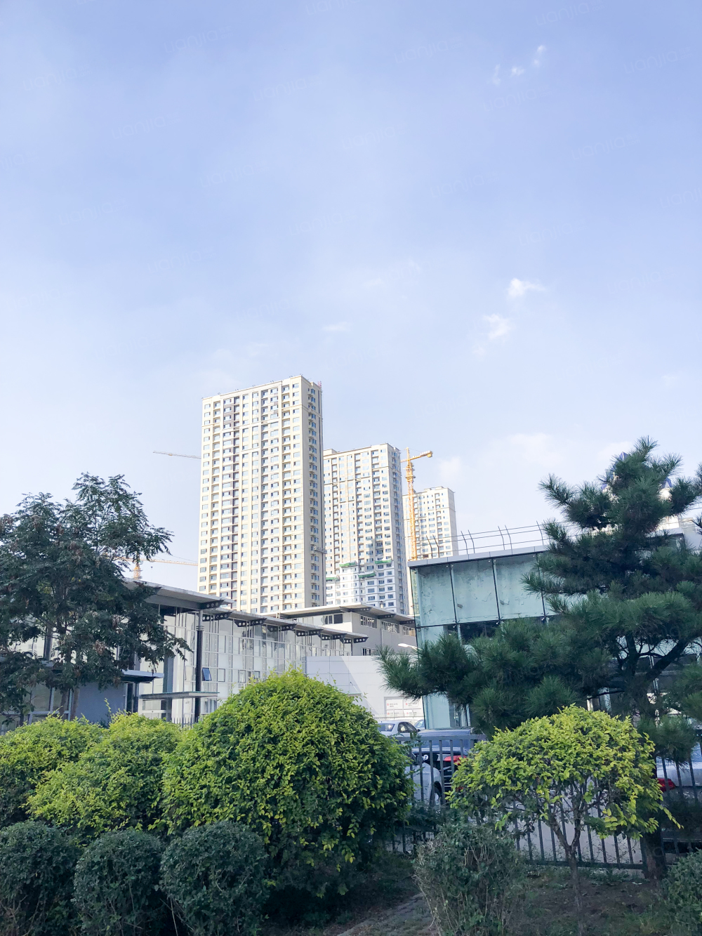 关于沈阳盛京在主场战胜上海徽商的信息