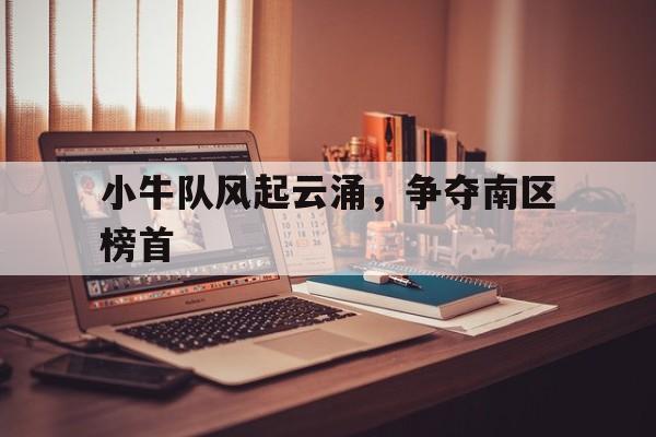 小牛队风起云涌，争夺南区榜首的简单介绍