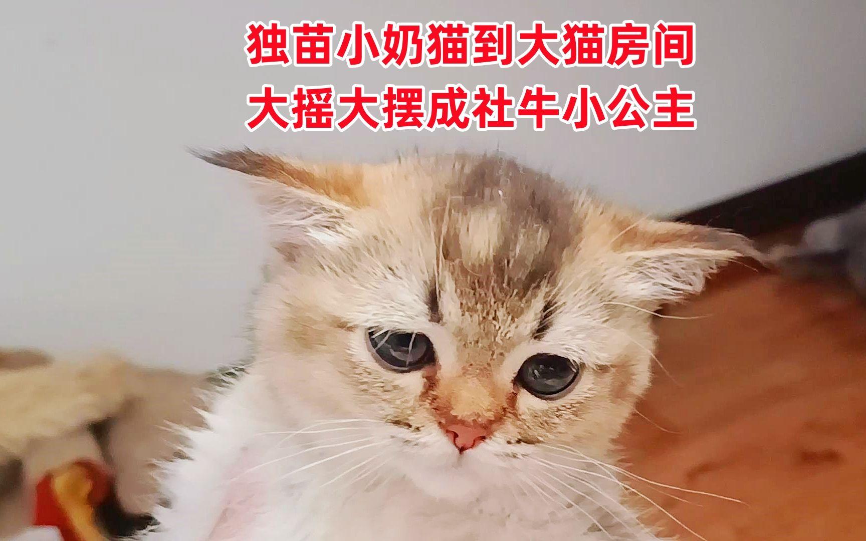 k8凯发国际娱乐大厅-一场备受瞩目的比赛在最后关头产生了戏剧性的转折的简单介绍