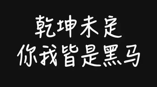 黑马逆袭，惊艳绝伦！球场风云再掀波澜的简单介绍