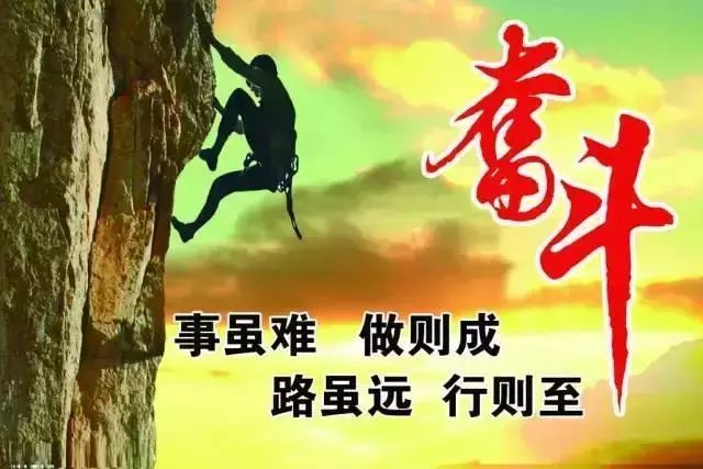 爱尔兰选手斗志昂扬收获冠军