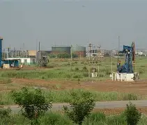 关于南美代表团排面齐整，共赴胜利的信息