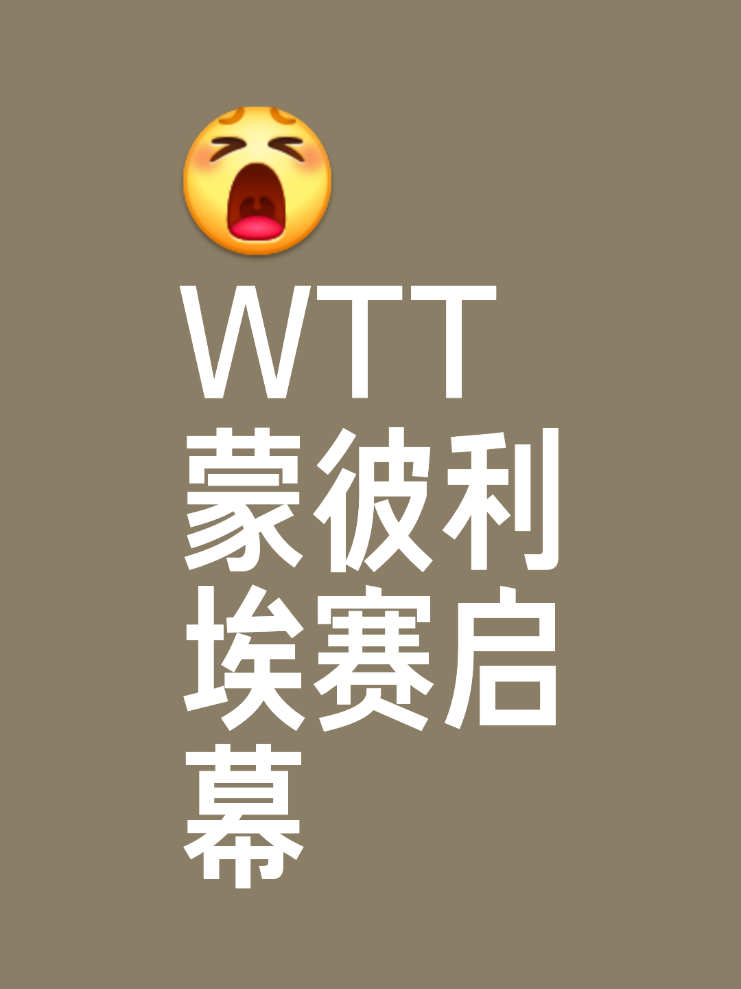 凯发娱乐一触即发-关于蒙彼利埃备战欧战资格赛，士气高涨的信息