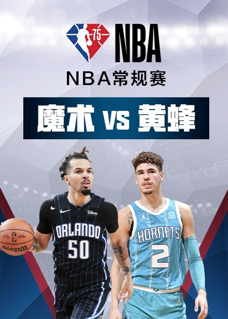 魔术击败黄蜂维奇主教练提前发布感情宣言