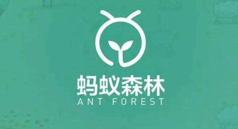 南京蚂蚁能量充沛，完胜强敌