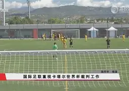 乌法老职健，沙哥维点胜迪圳中主士表发的简单介绍
