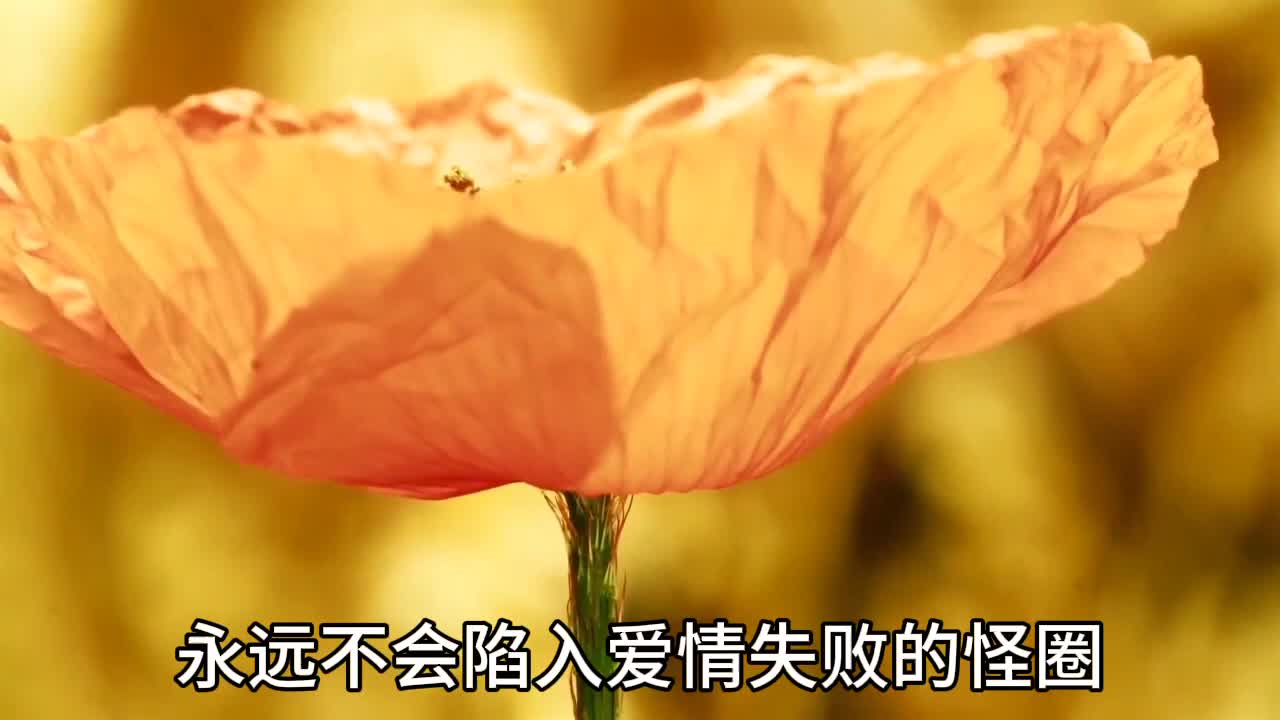 包含米卢斯不敌尼斯，落入失败深渊的词条