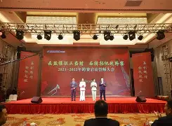 关于德国鹰派豪情满志，披荆斩棘谋夺冠军的信息